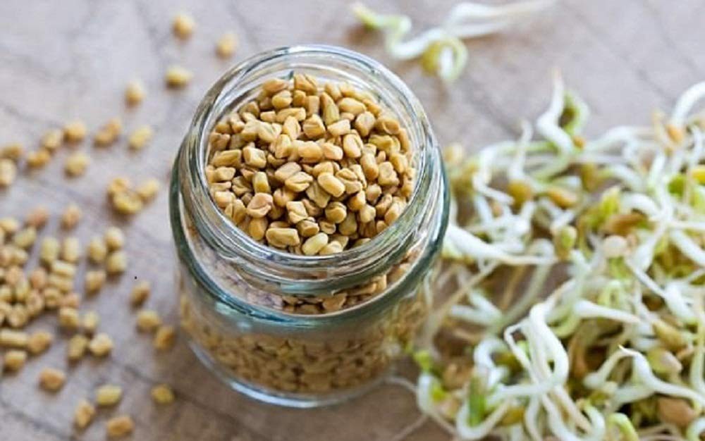 Garden Sprouting Mix – Clover, Arugula, Radish & Fenugreek Seeds for Microgreens