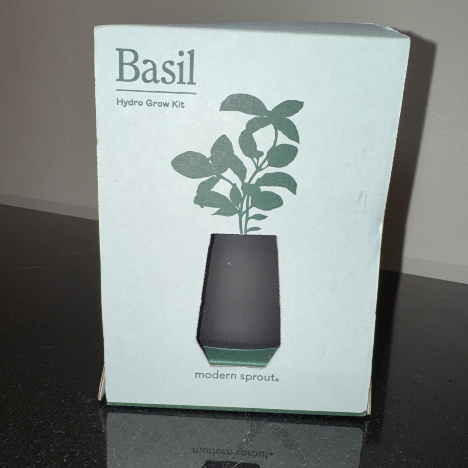 Basil Grow Kit Modern Sprout- Just Add Water