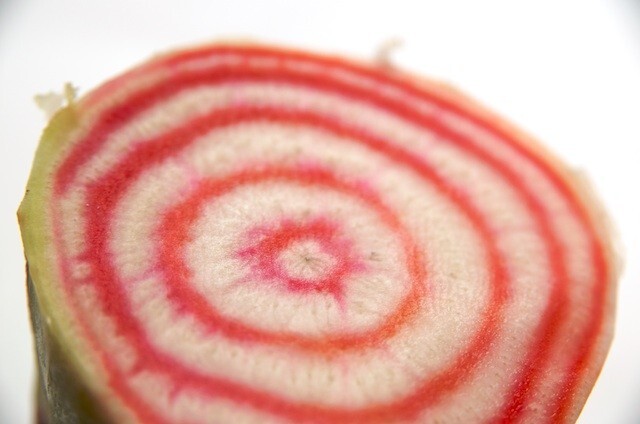 BEETS CHIOGGIA 200 NON – HYBRID NON – GMO Seeds Heirloom!