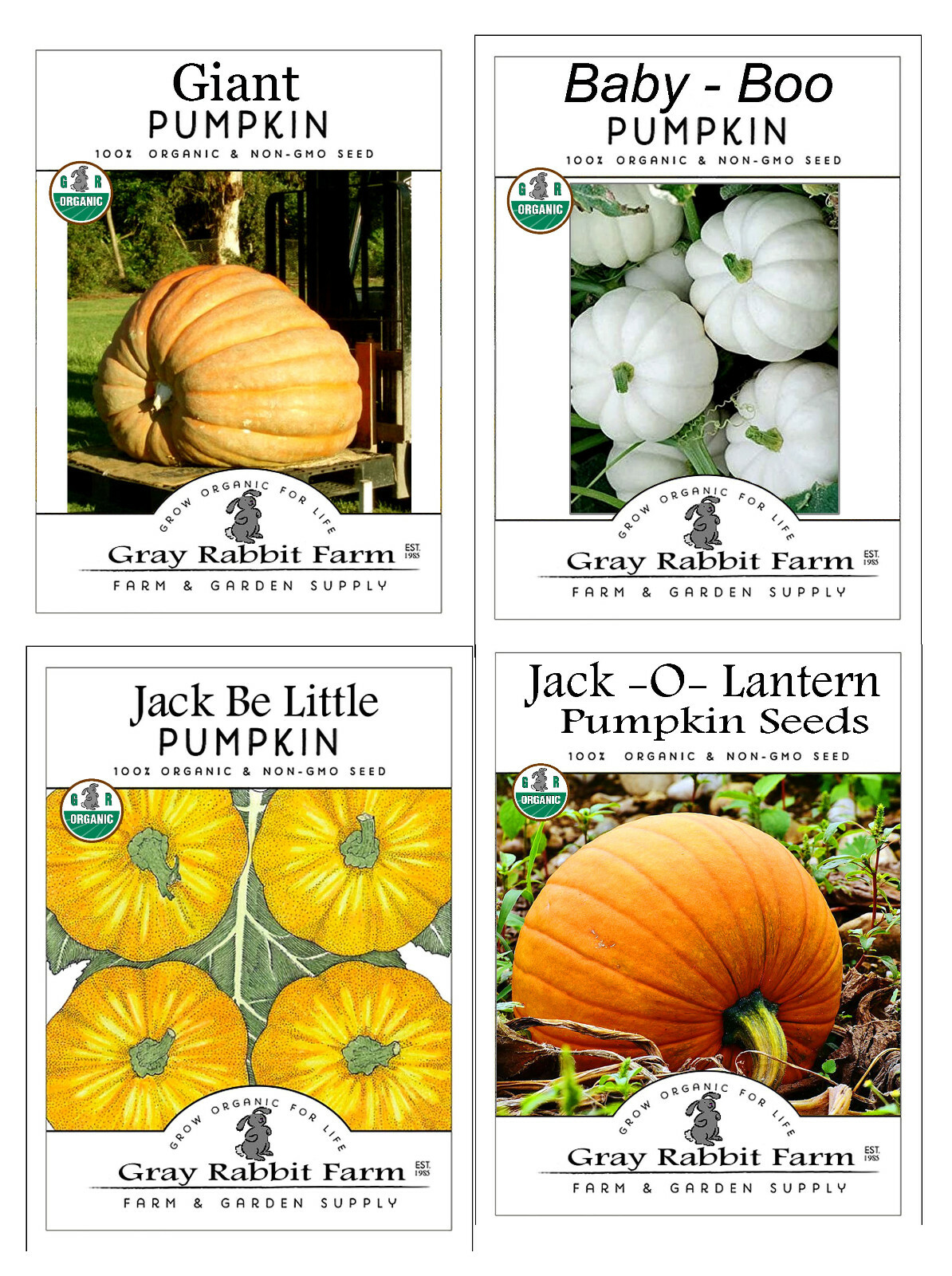 4 Pack of pumpkin seeds