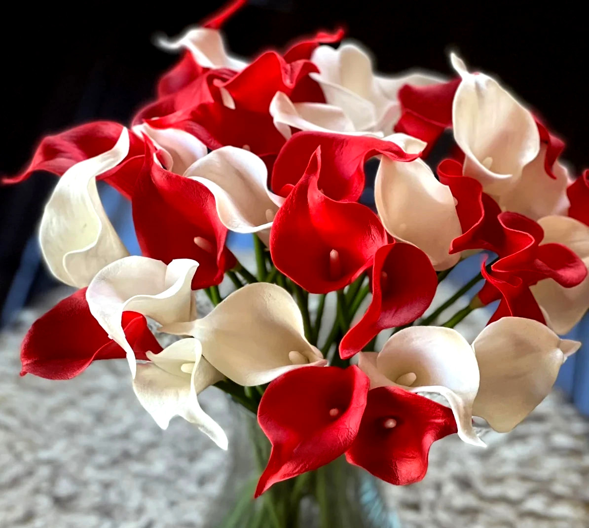 4 Calla Lily Flower Bulbs Majestic Red & White Mix Wedding Flowers Garden Plants