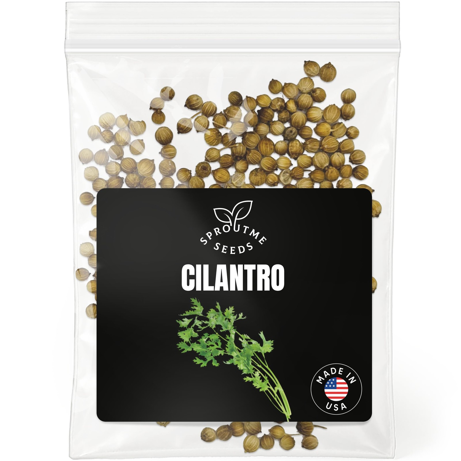 Cilantro Slow Bolt Seeds for Planting – 200+ Non-GMO Heirloom USA-Grown Fast …