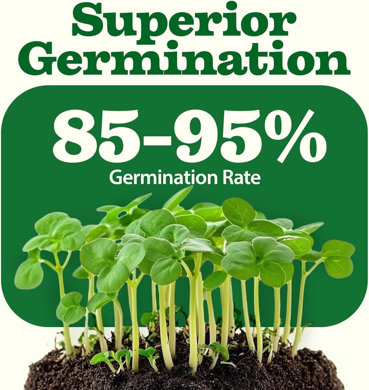 Vegetable Fruit Seed Pack 32 Varieties Heirloom Non-GMO High Germination