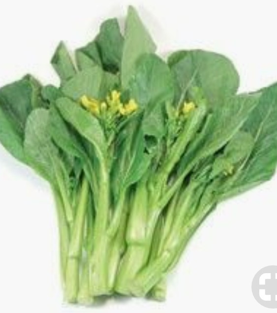 250 Plus Choy Sum-Gunsho Asian Green Seeds-Open Pollinated-Non GMO-Organic
