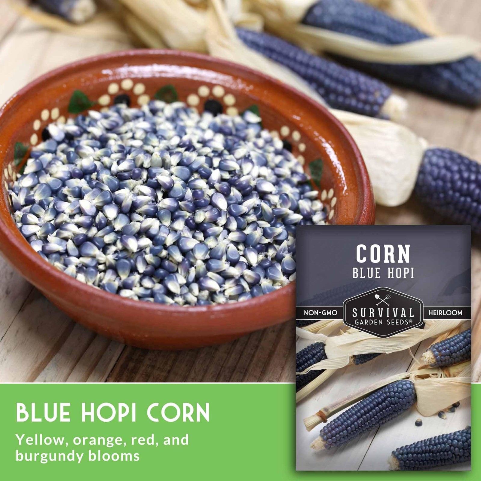 Blue Hopi Corn Seeds NonGMO Heirloom Blue Maize for Home Vegetable Garden