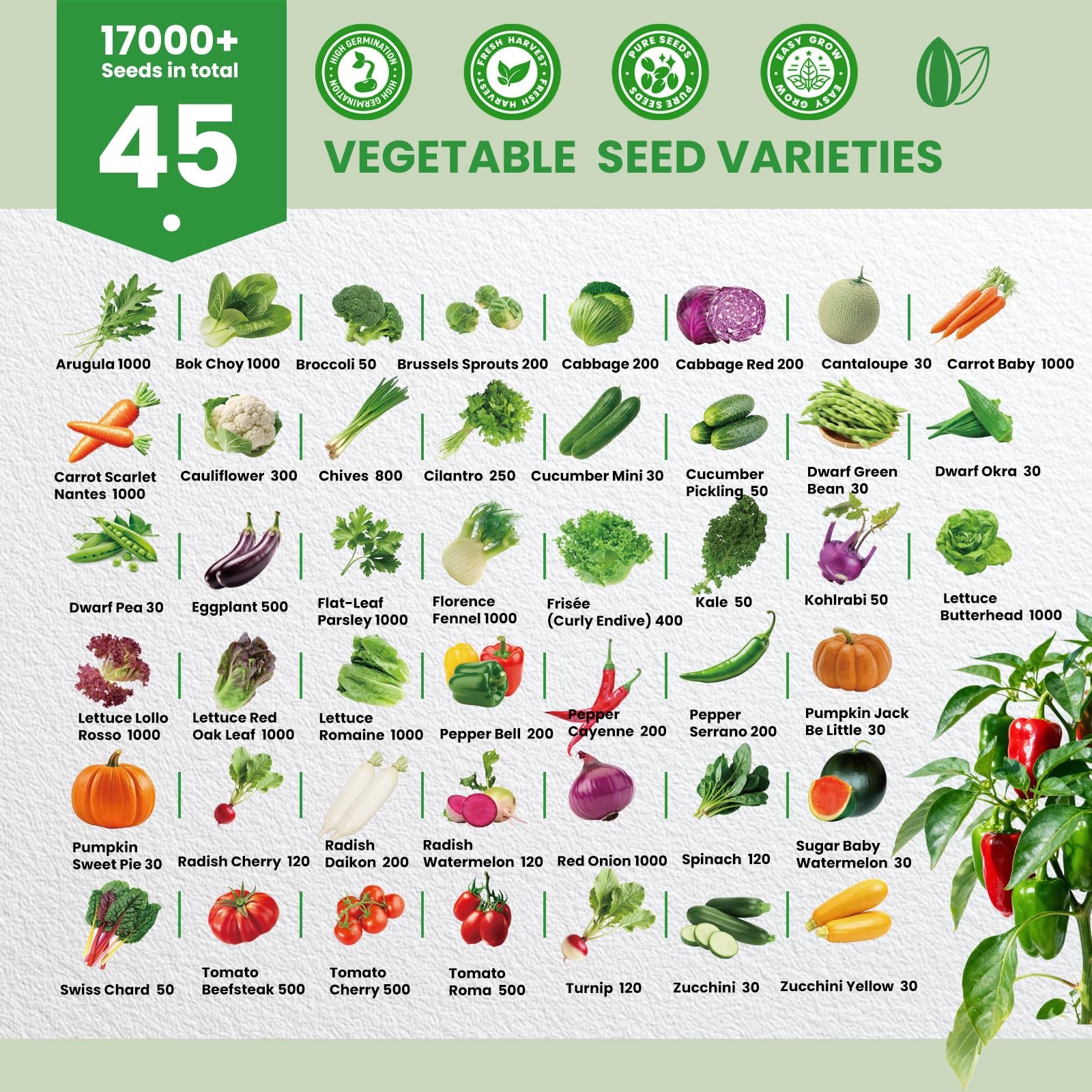 45 Vegetable Seeds Variety Pack 17,000+ Garden Indoor Outdoor Planting Kit