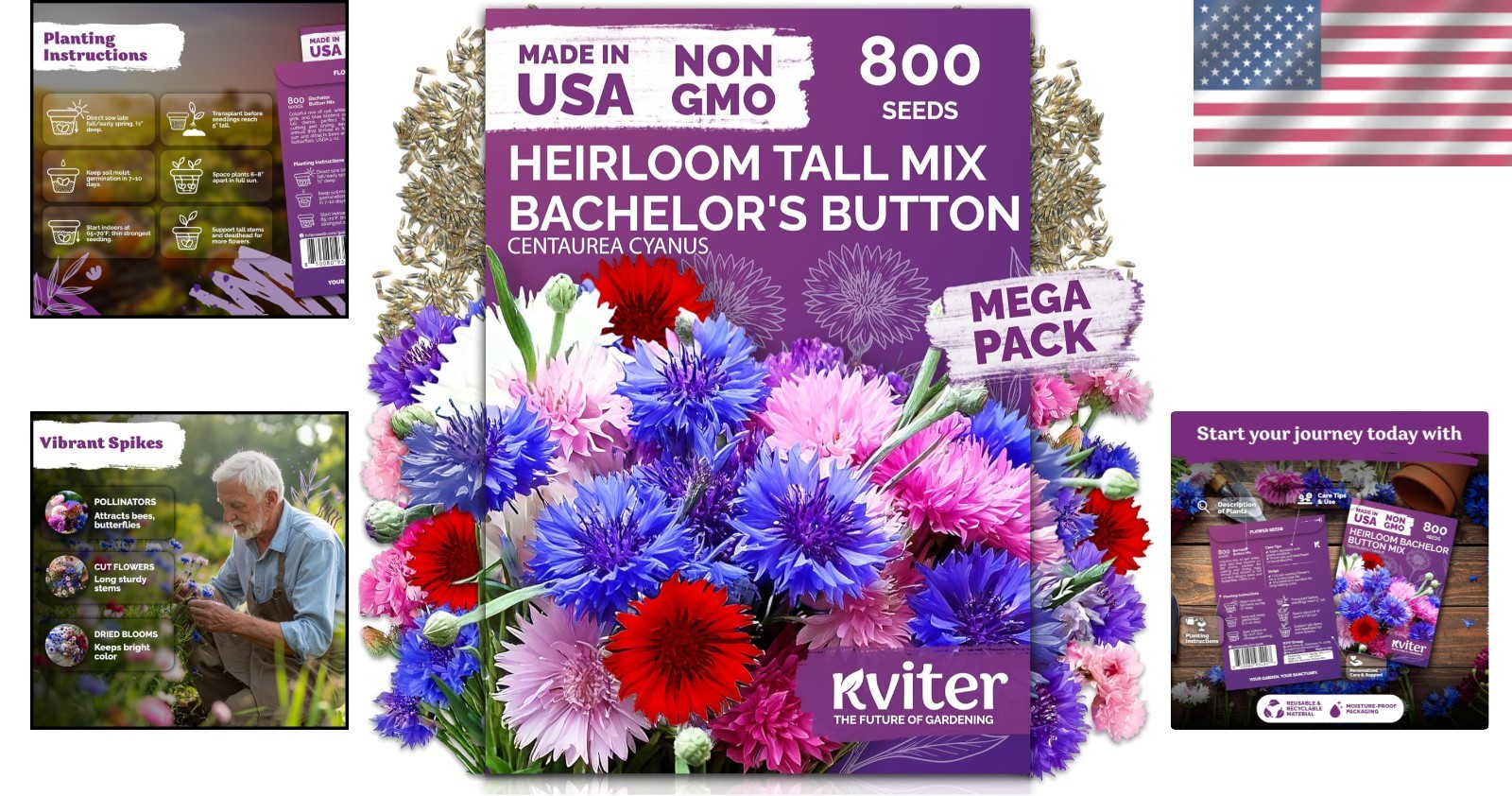 Cornflower Wildflower Mix – 800 Multi-Color Bachelor Button Seeds for All Zones