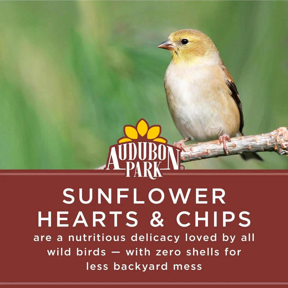 Sunflower Hearts Bird Food – No Mess Seeds for Wild Birds, 5 lbs