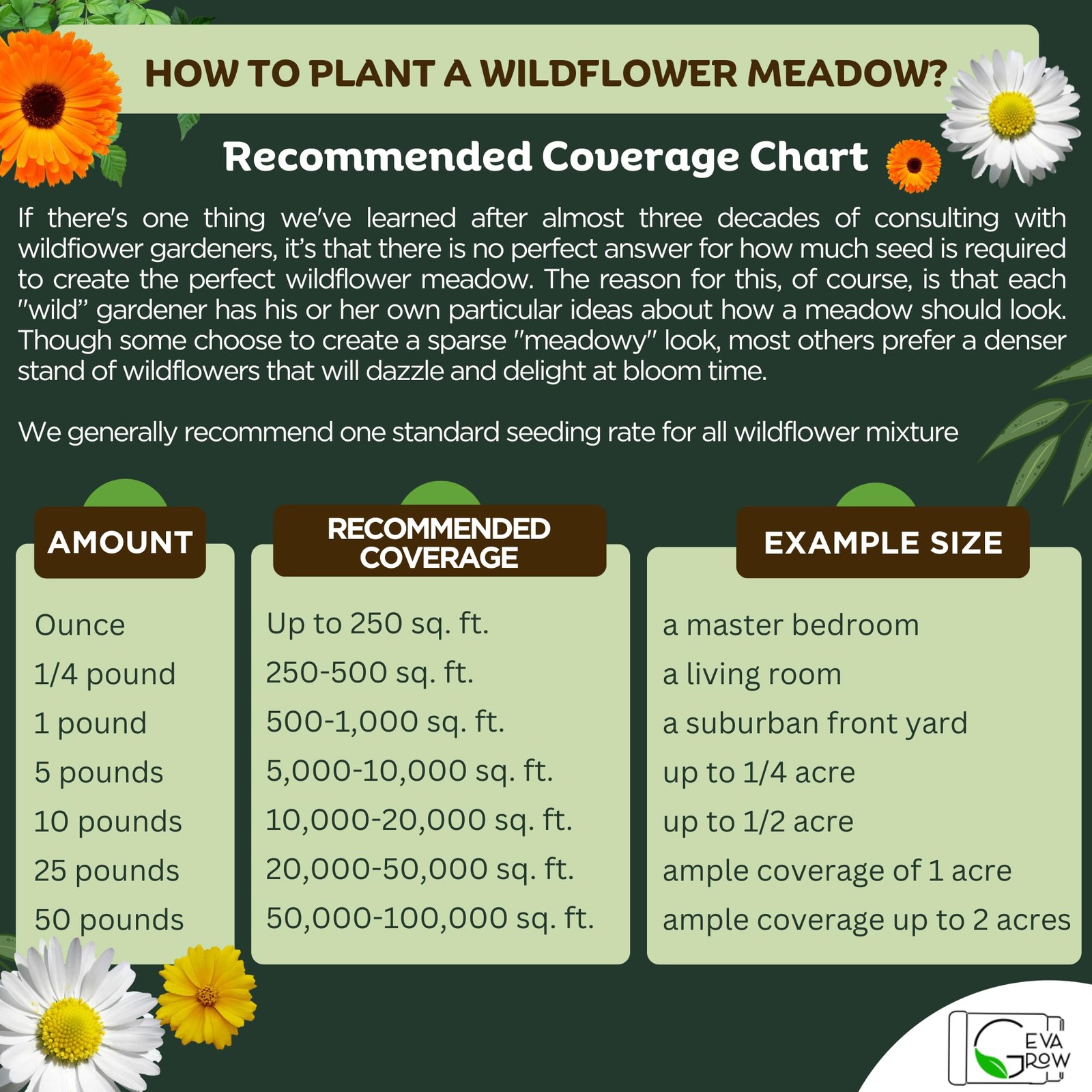 Annual Wildflower Seed Mix 2 Ounce Shaker for Vibrant Gardens