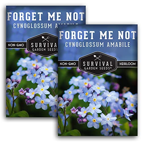 Packs Forget Me Not Seeds for Planting with Instructions to Grow Tiny Blue 2