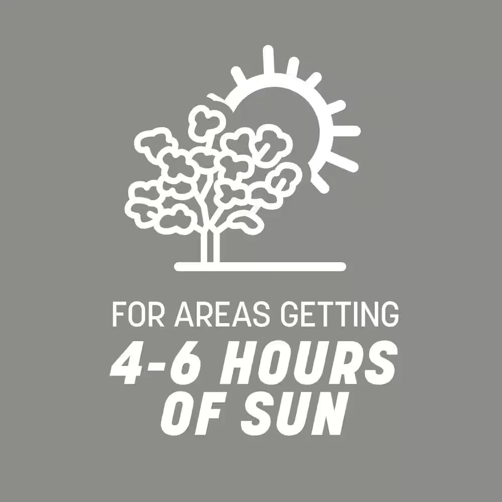 Northern Contractors Seed Mix 40 Lbs. 8,000 Sq. Ft. Grass Seed