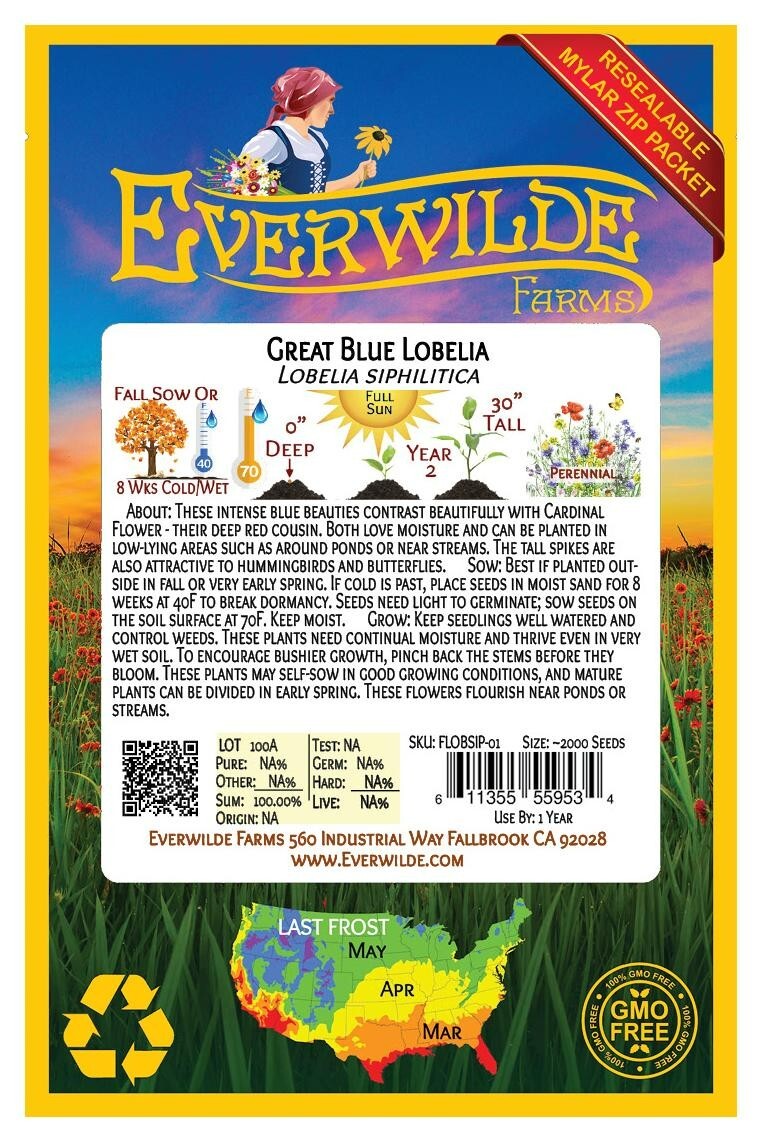 2000 Great Blue Lobelia Wildflower Seeds – Everwilde Farms Mylar Seed Packet