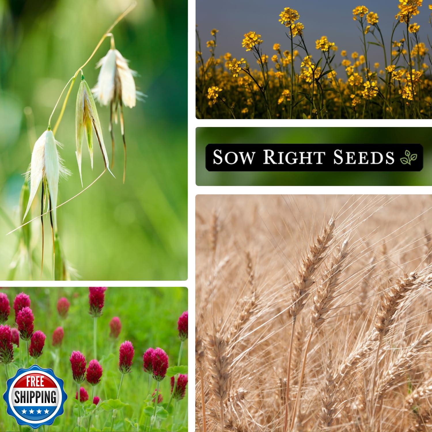 Sow Right Seeds – Cover Crop Collection for Planting – 9 Packets of Popular a