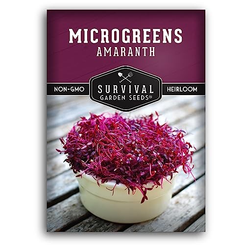 Red Amaranth Microgreen Seeds for Sprouting – Non-GMO Heirloom Seed Variety 1