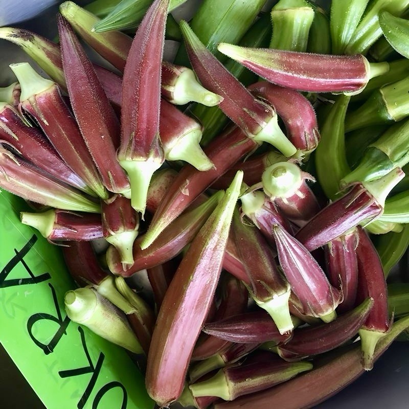 40+ Red Burgundy Okra Seeds ｜NON GMO ｜Heirloom ｜FRESH Free Shipping No Tracking