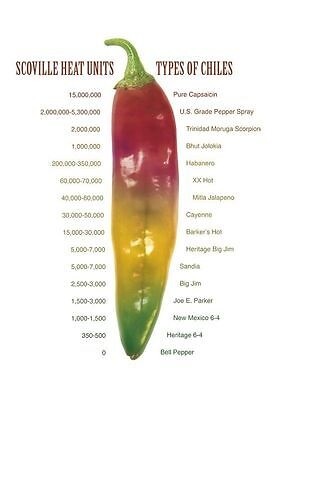1000 Red Bhut Jolokia Seeds Ghost Pepper HOT Chilli 900K-1M+ SHUS Bulk Wholesale