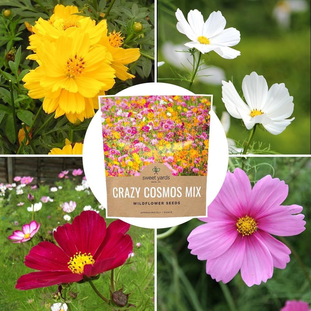 Cosmos Wildflower Seeds Mix – Bulk 1oz Packet