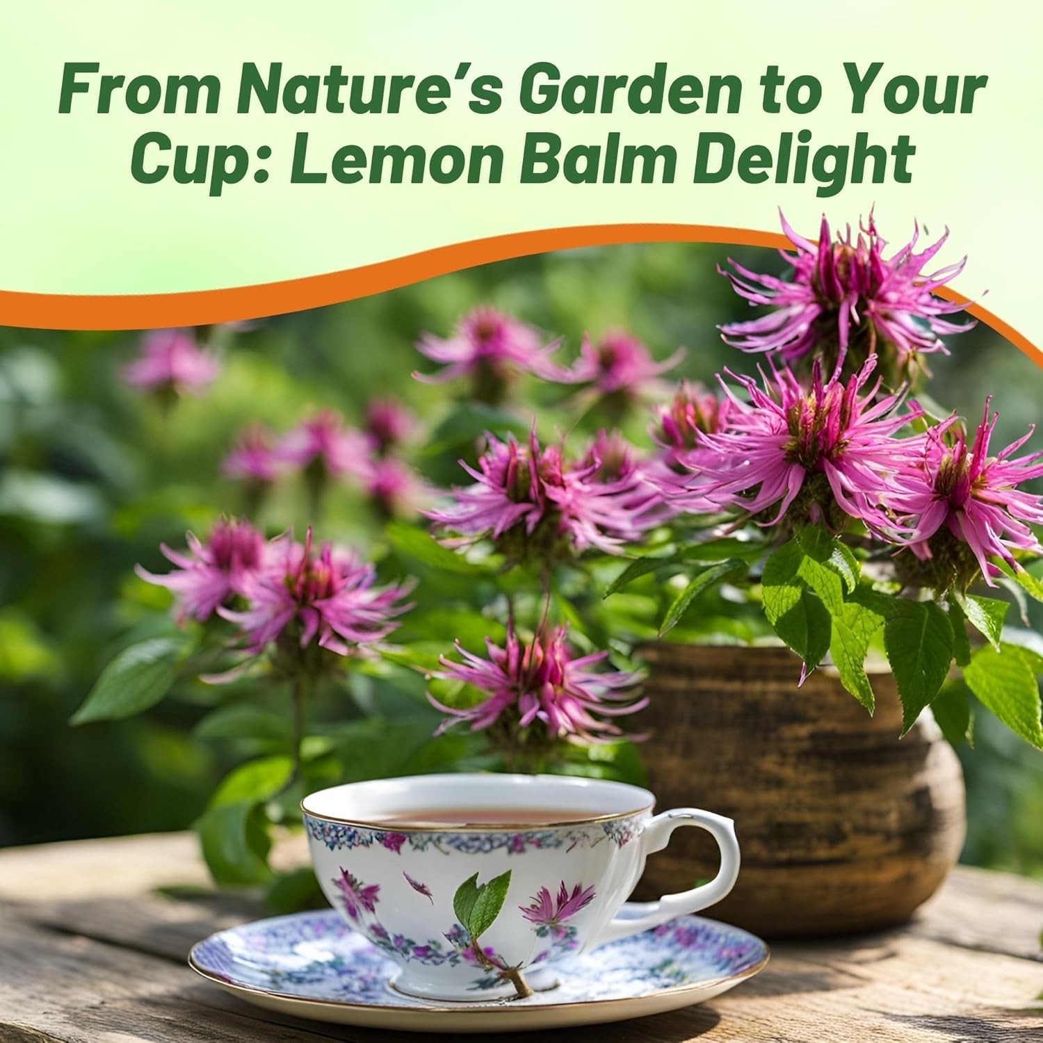5000 Seeds Lemon Balm Seed For Planting Your Own Herbs – Sweet Balm Herb Seed