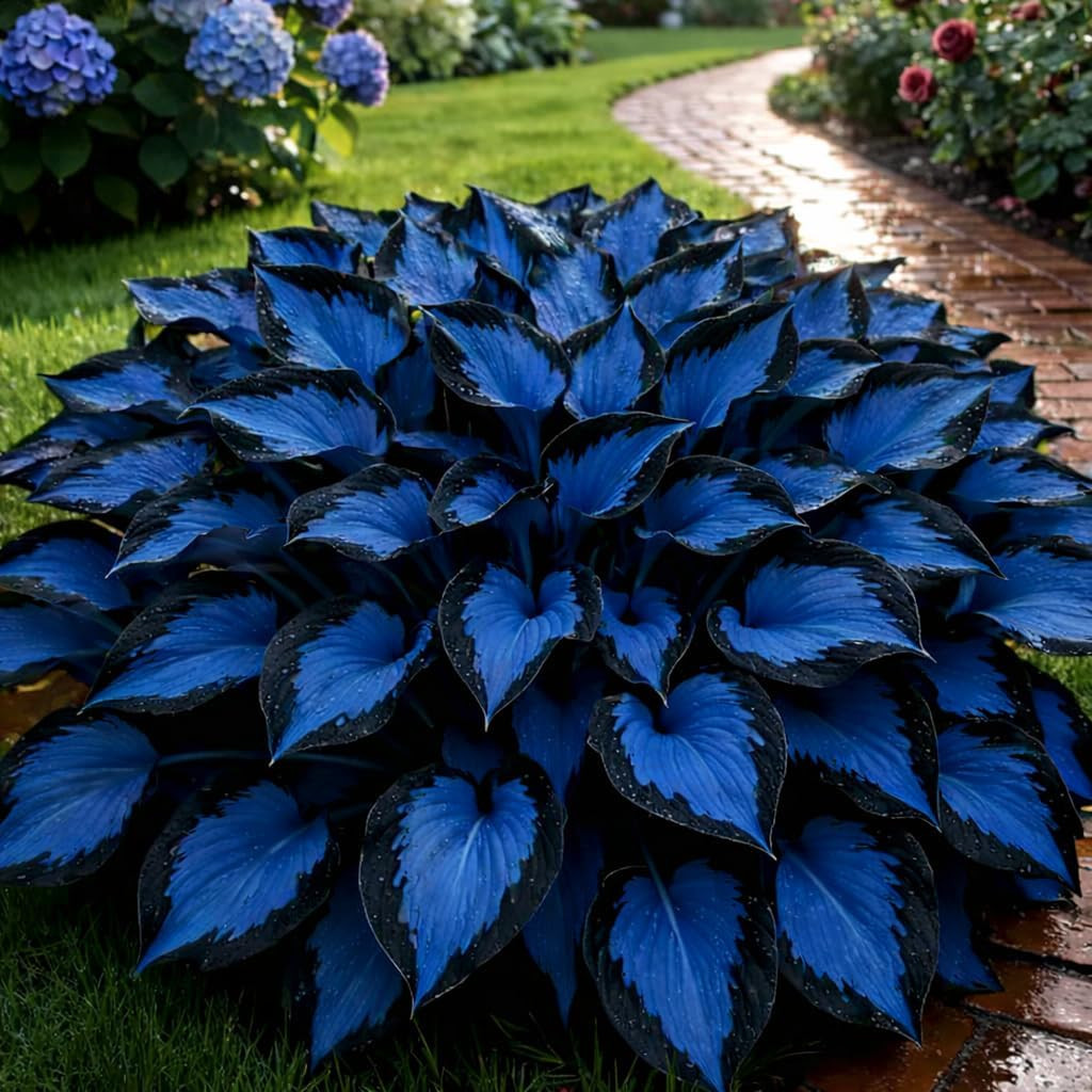 210+ Hosta Seeds – Rare Perennial Flower Seeds for Shade Gardens, Long Blooming