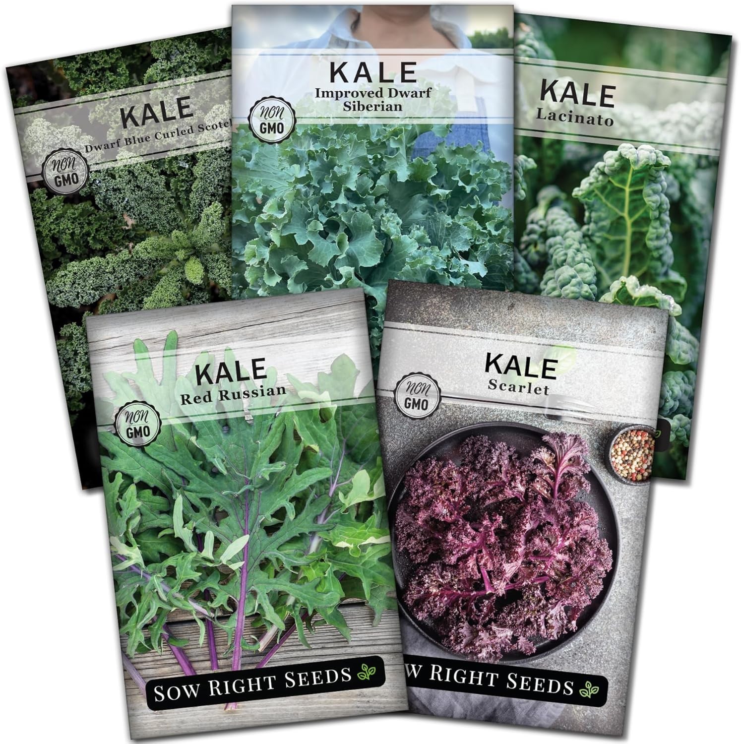 Sow Right Seeds – Kale Seed Collection for Planting – Non-GMO Heirloom Packet wi