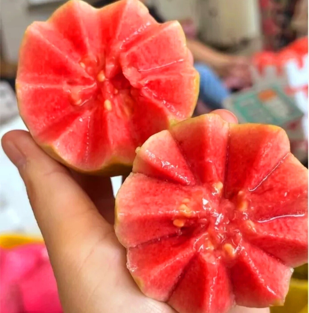 30 Pink Guava Tree Seeds Tropical Strawberry Ruby Supreme Psidium guajava
