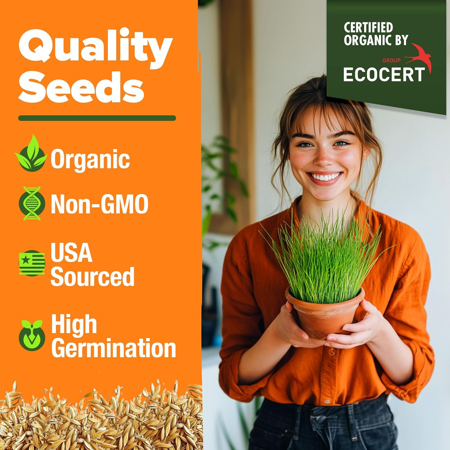 Organic Cat-Grass Seed Mix (Oat & Barley) – 4 Oz – Easy Indoor Planter