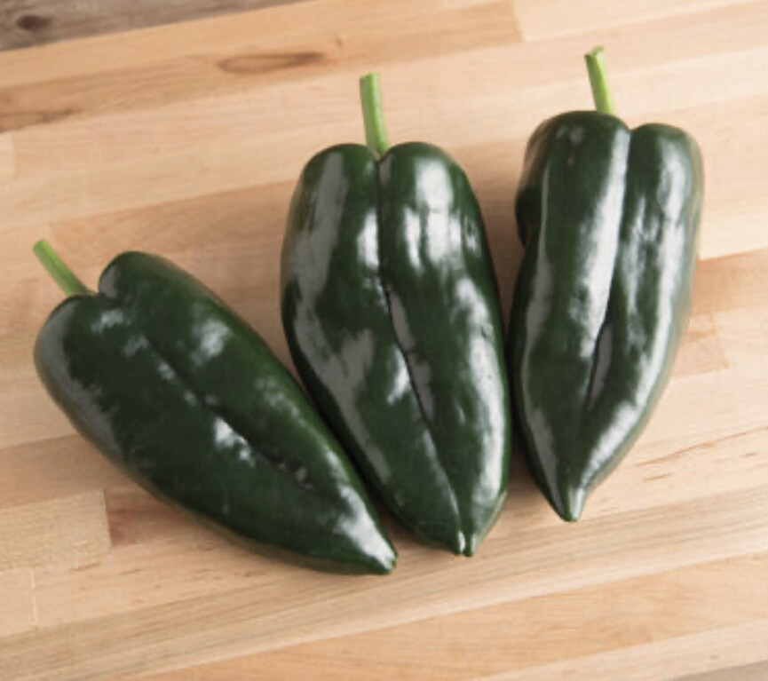 ANCHO POBLANO HOT PEPPER – ORGANIC – 20 SEEDS