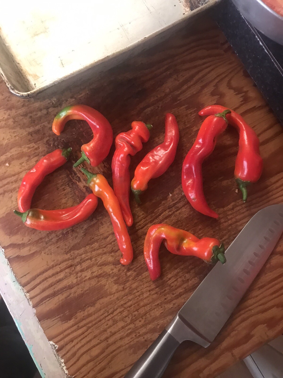Portuguese Pepper Seed (malagueta) Rare. Approx 50 Seeds.Imported (Perfect Time)