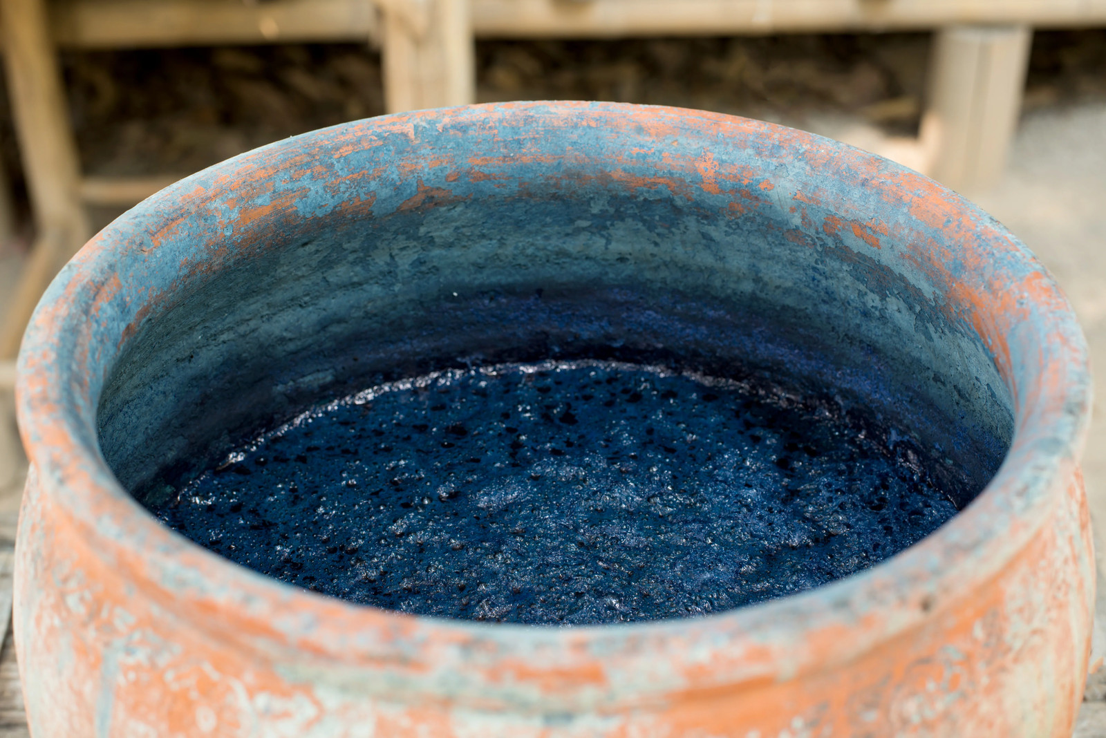 50 TRUE INDIGO Dye Indigo Indigofera Tinctoria Pink Purple Sub Shrub Flower Seed