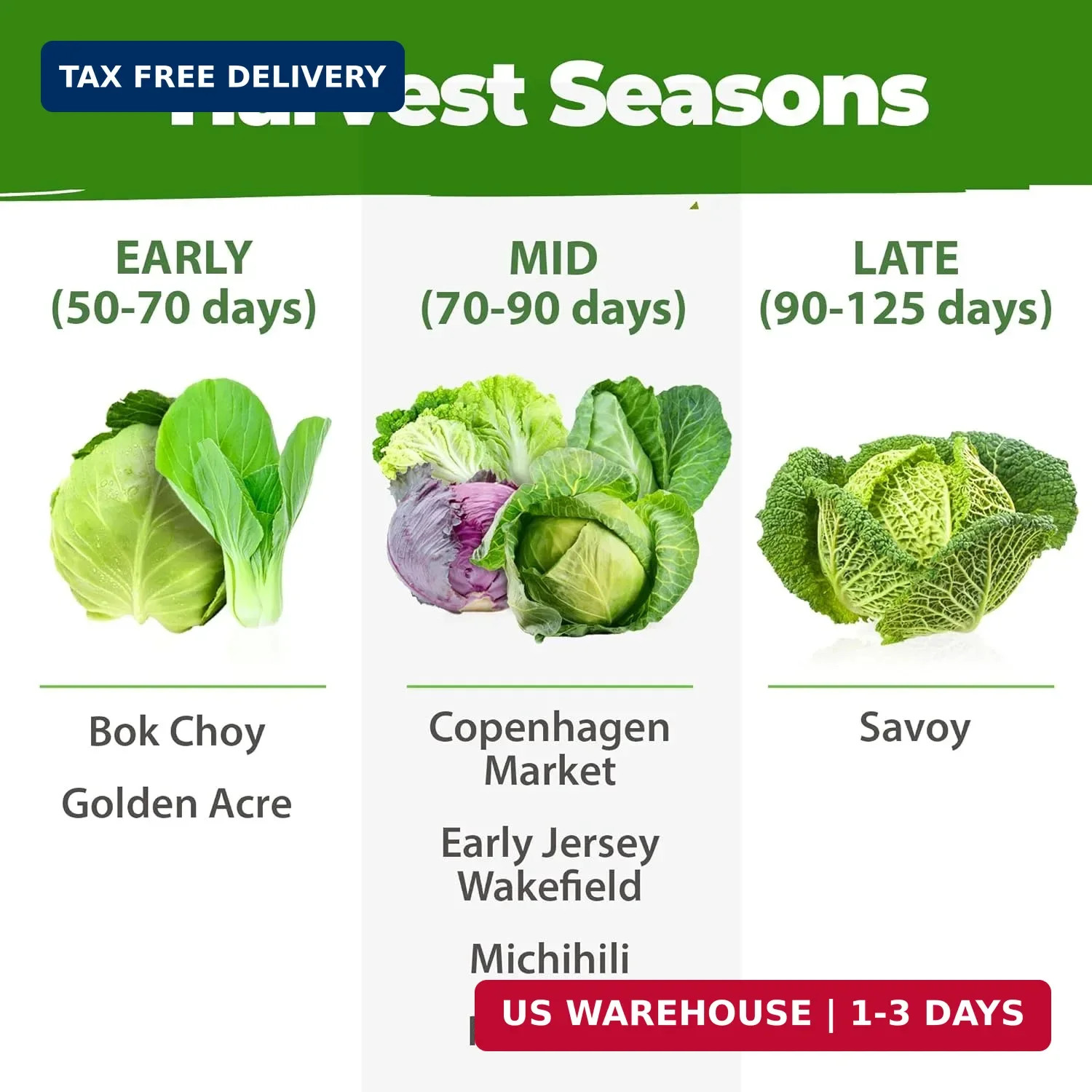 HOME GROWN Cabbage Seeds 7 Variety Mix 2000+ Heirloom Non-GMO, High Germination,