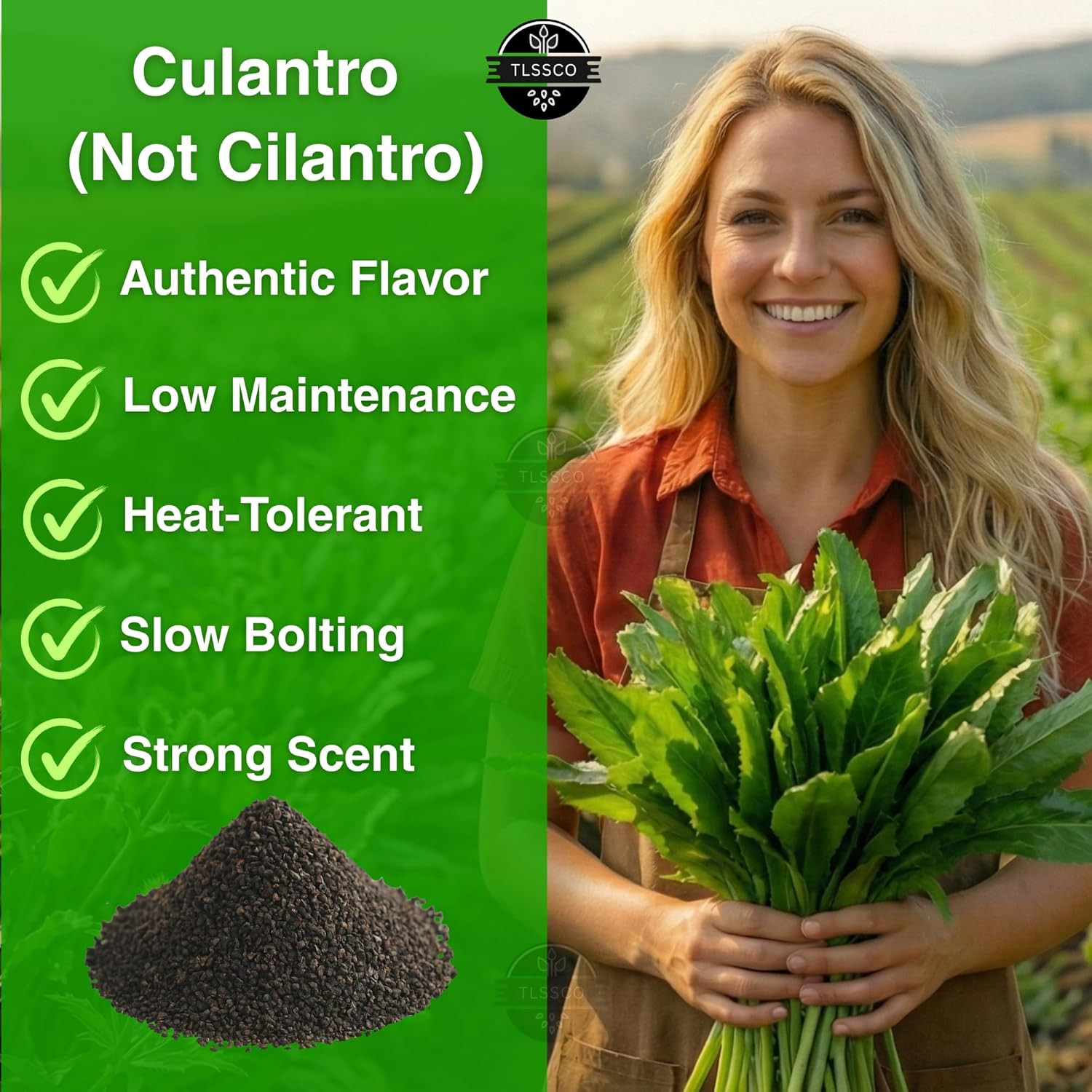 3049+ Culantro Seeds – Heirloom Herb Seeds for Planting, Slow-Bolting, Flavorful