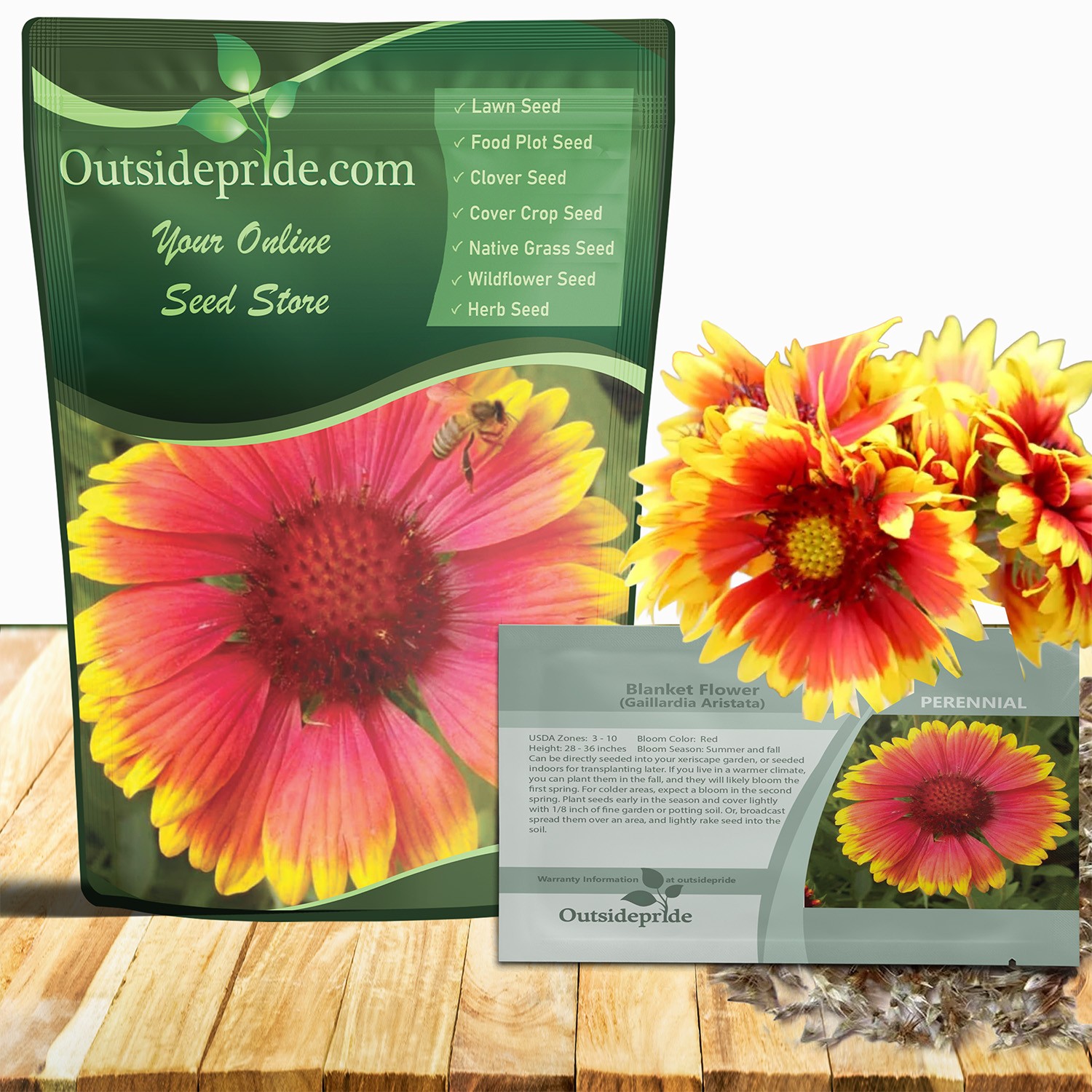 1 LB Gaillardia Aristata Seed For Planting – Drought Tolerant Blanket Flower