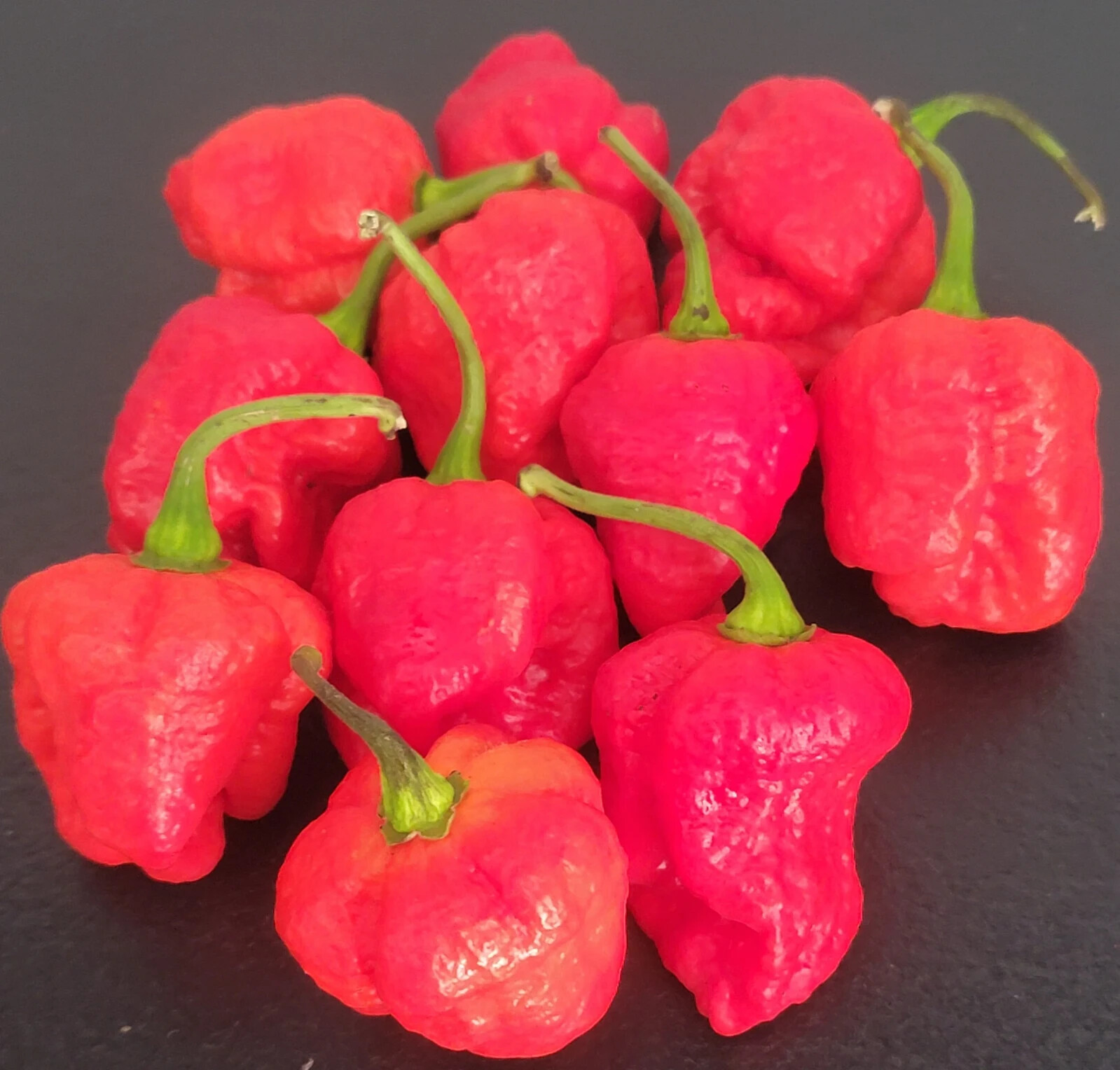 Genghis Khan Superhot Pepper Seeds with free shipping