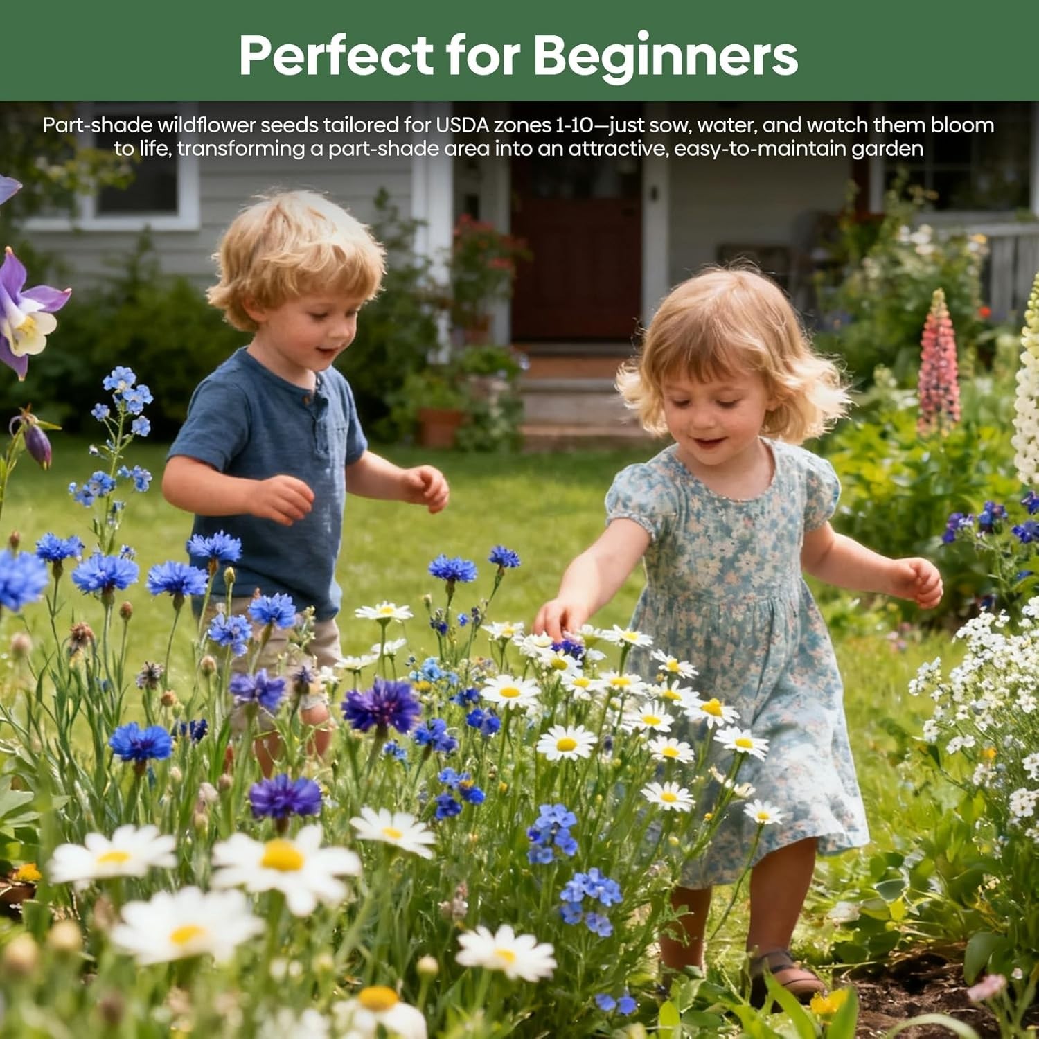 1 Ounce of Fragrant Wildflower Seeds – Shade Resistant Varieties for Your Garden