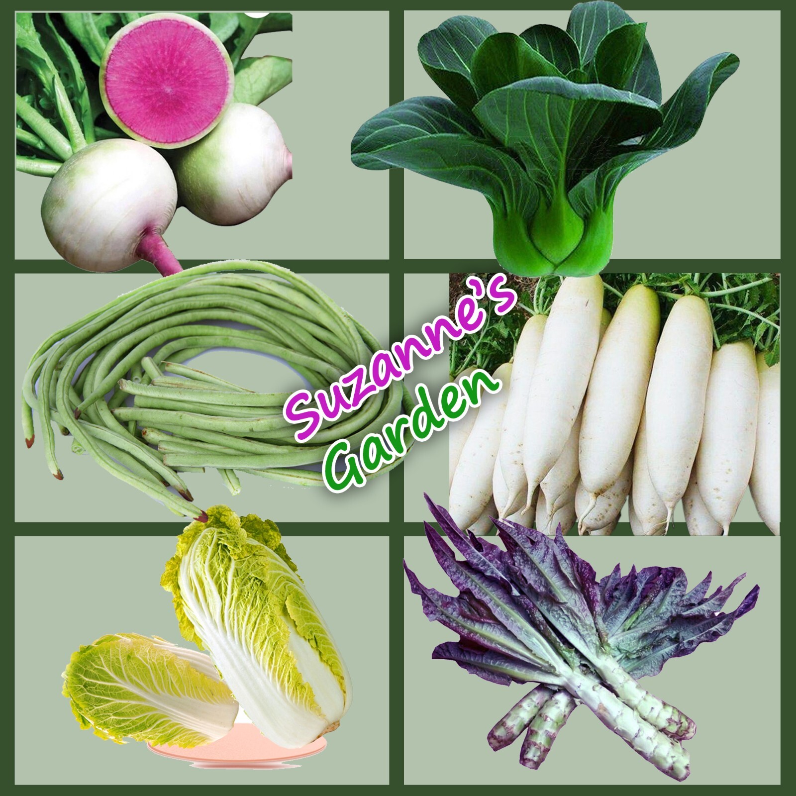Vegetable Seeds Bundle 6 Variety白菜/莴笋/青江菜/萝卜/心里美萝卜/长豆#5 Emergency Surviva