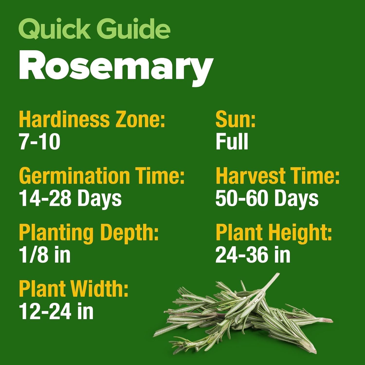 Gardener’s Delight: 150 Non-GMO Rosemary Seeds with Comprehensive Grow Guide