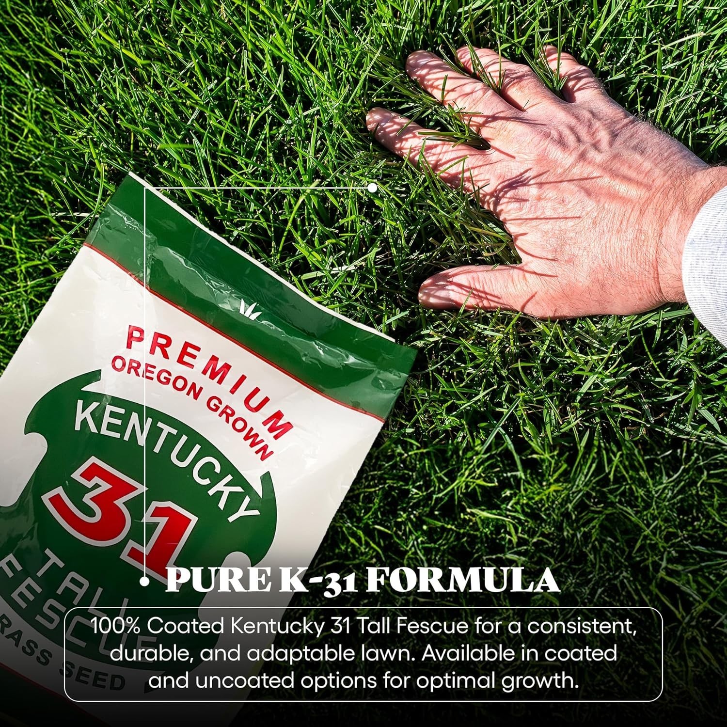 Tall Fescue Grass Seed Kentucky 31 5lb Sun & Shade Durable High Traffic Lawns