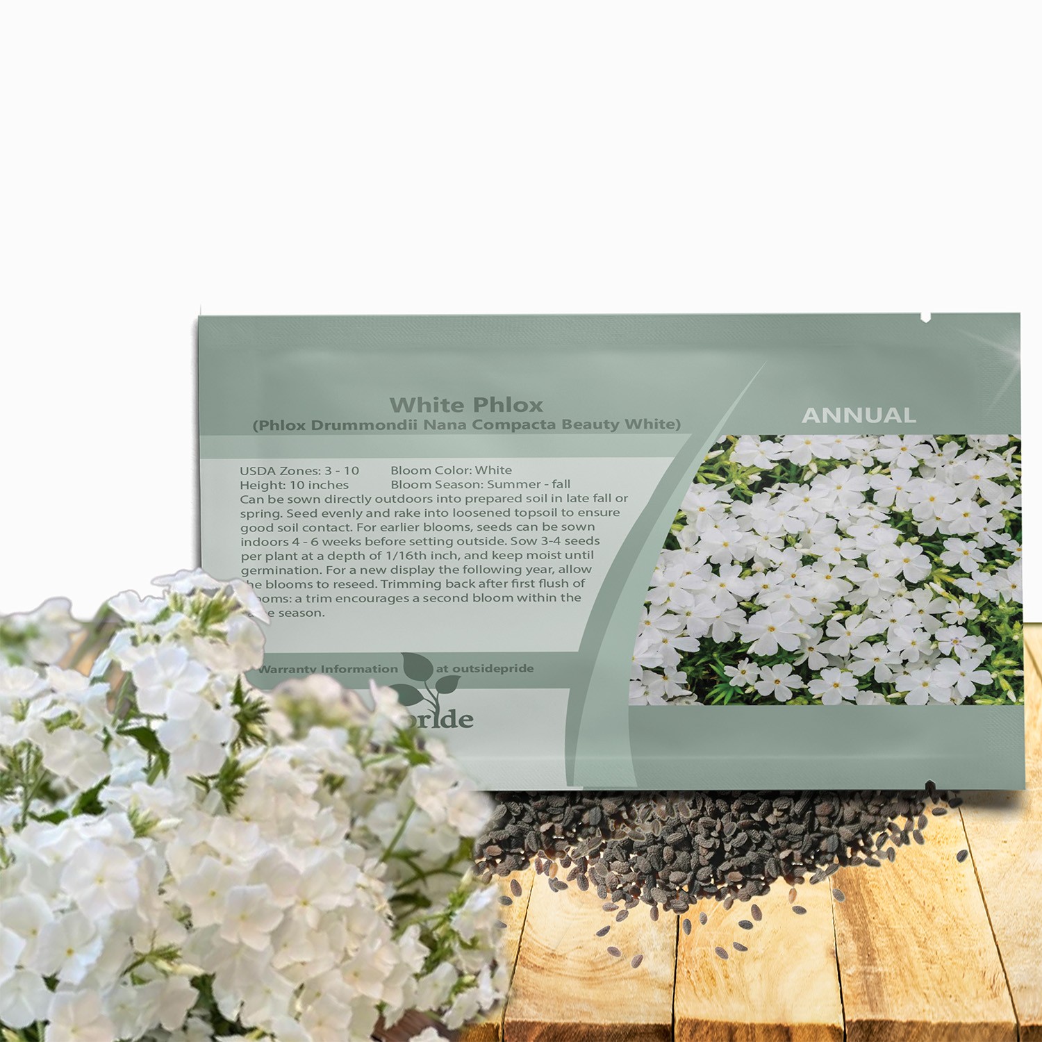 2000 Seeds Phlox Seed – Drummond White Phlox Flower Seeds