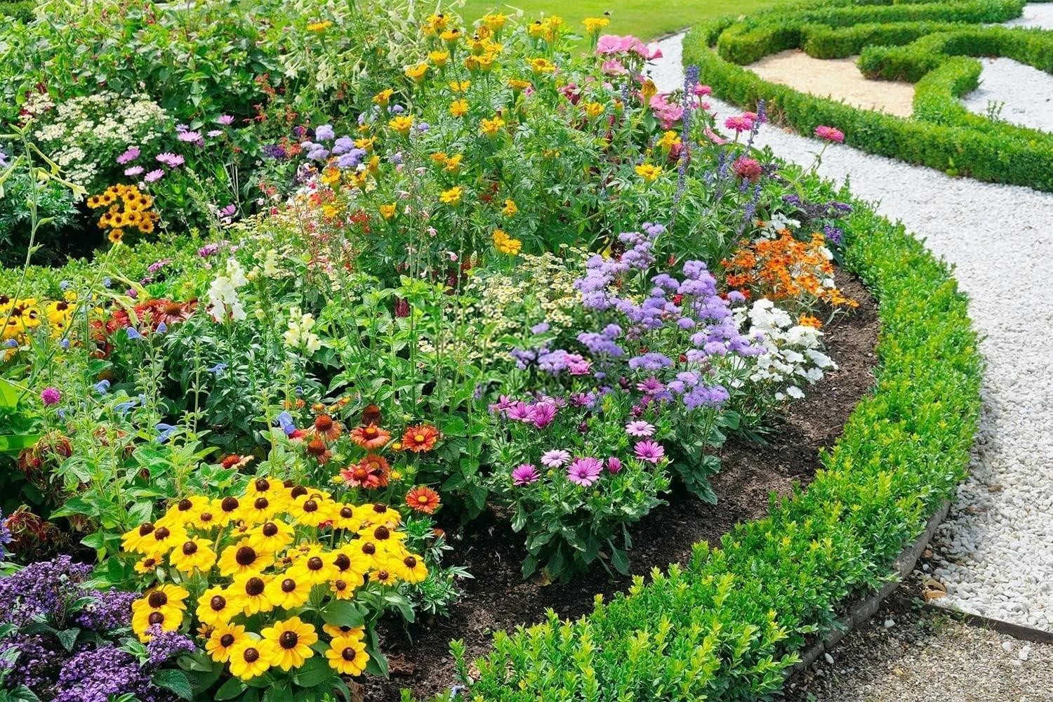 10000+ Perennial Mix Wildflower Seeds 16 Assorted of Heirloom Flower -1oz