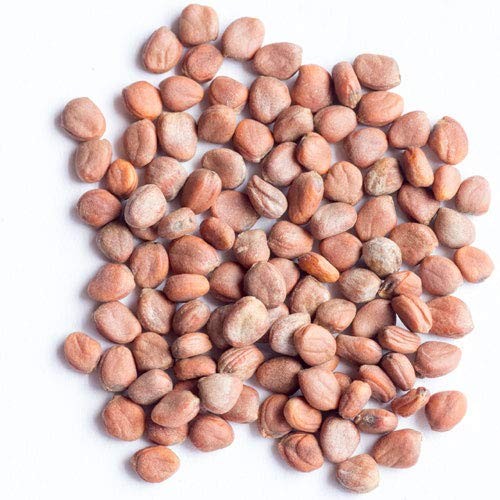 Nature Jims Radish Sprout Seeds – 16 Ounce Organic Sprouting Seeds – Non-GMO …