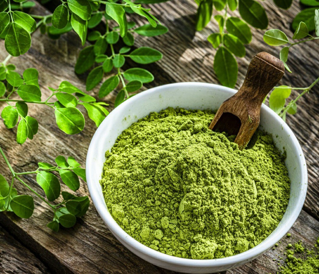20 Moringa Oleifera Seeds Organic NON GMO For Planting Sprouting Food Superfood