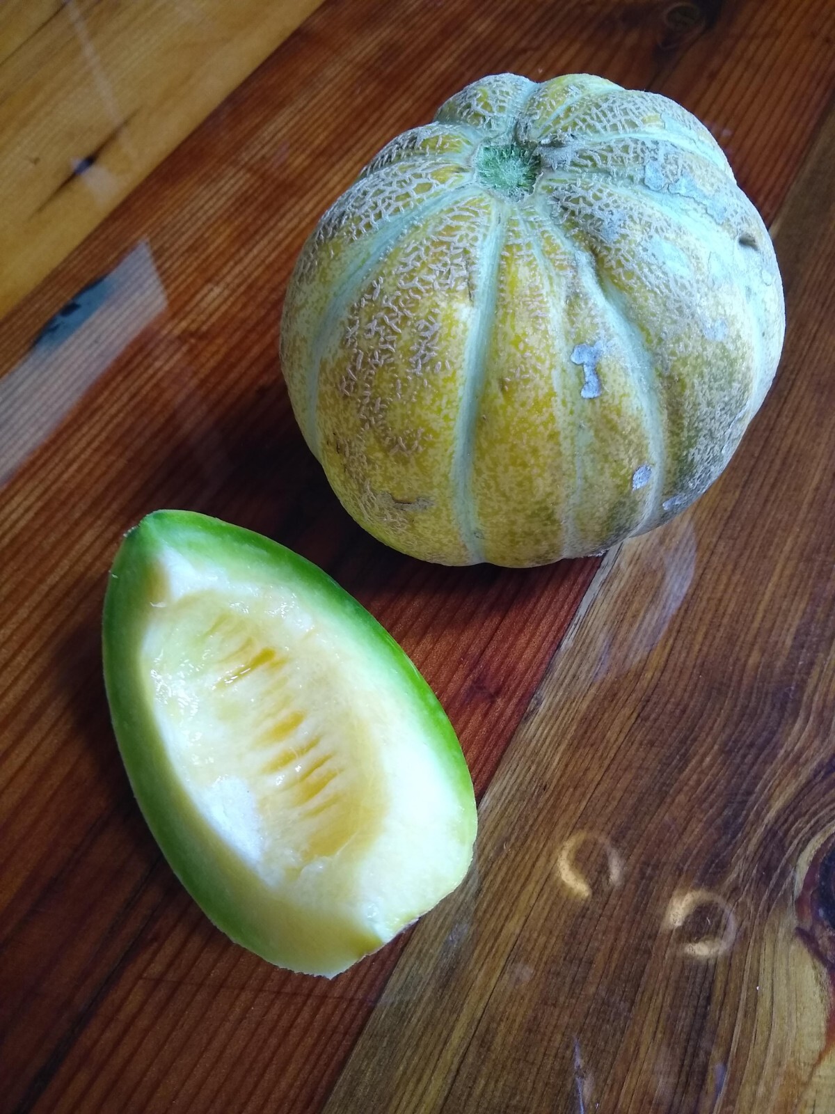 Ogen Melon ~ 12 to 1000 seeds~ Ha-Ogen ~ Israel Ogen ~