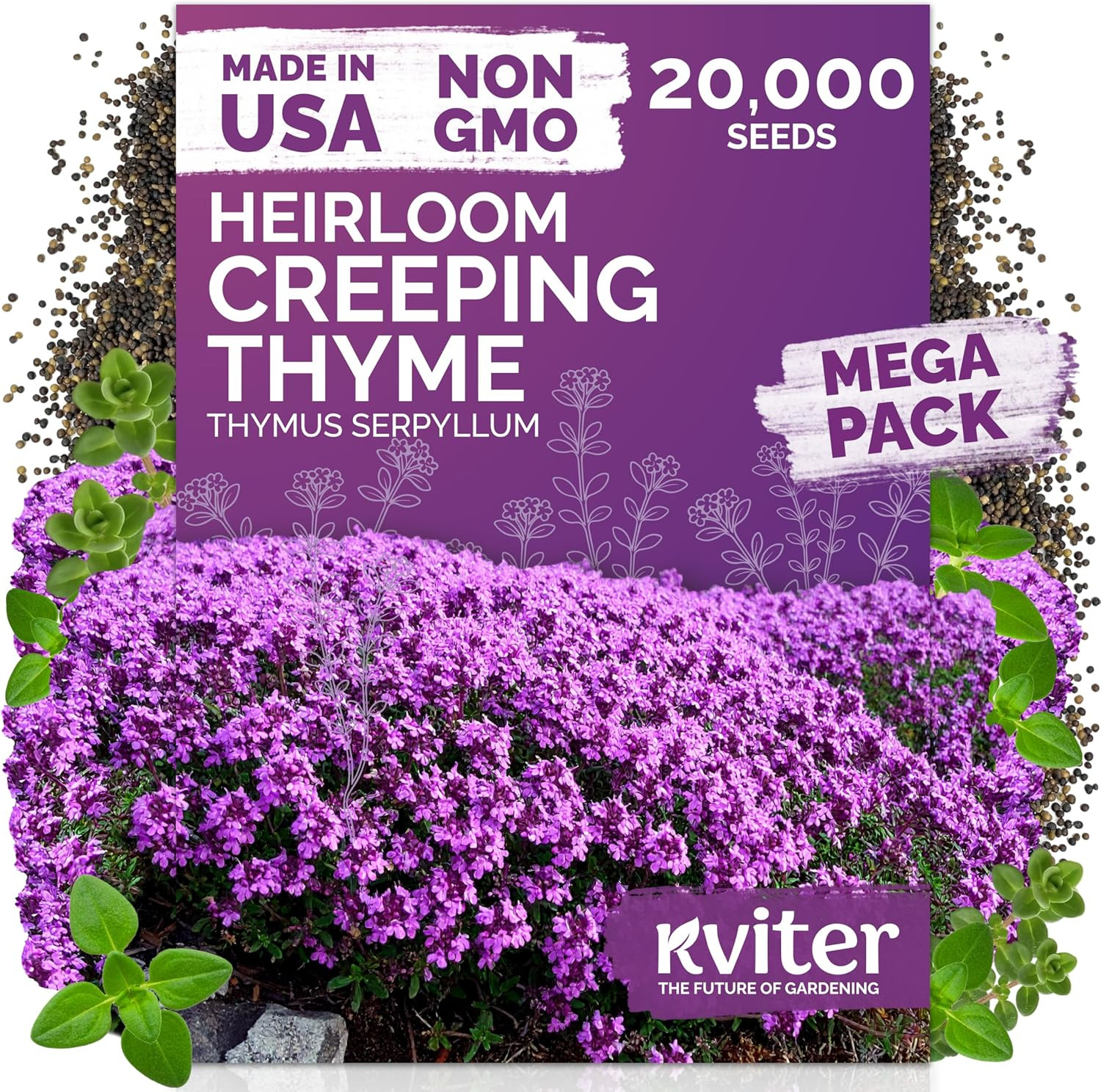 20,000 Creeping Thyme Seeds (Thymus Serpyllum) – Wild Thyme, Aromatic Ground Cov