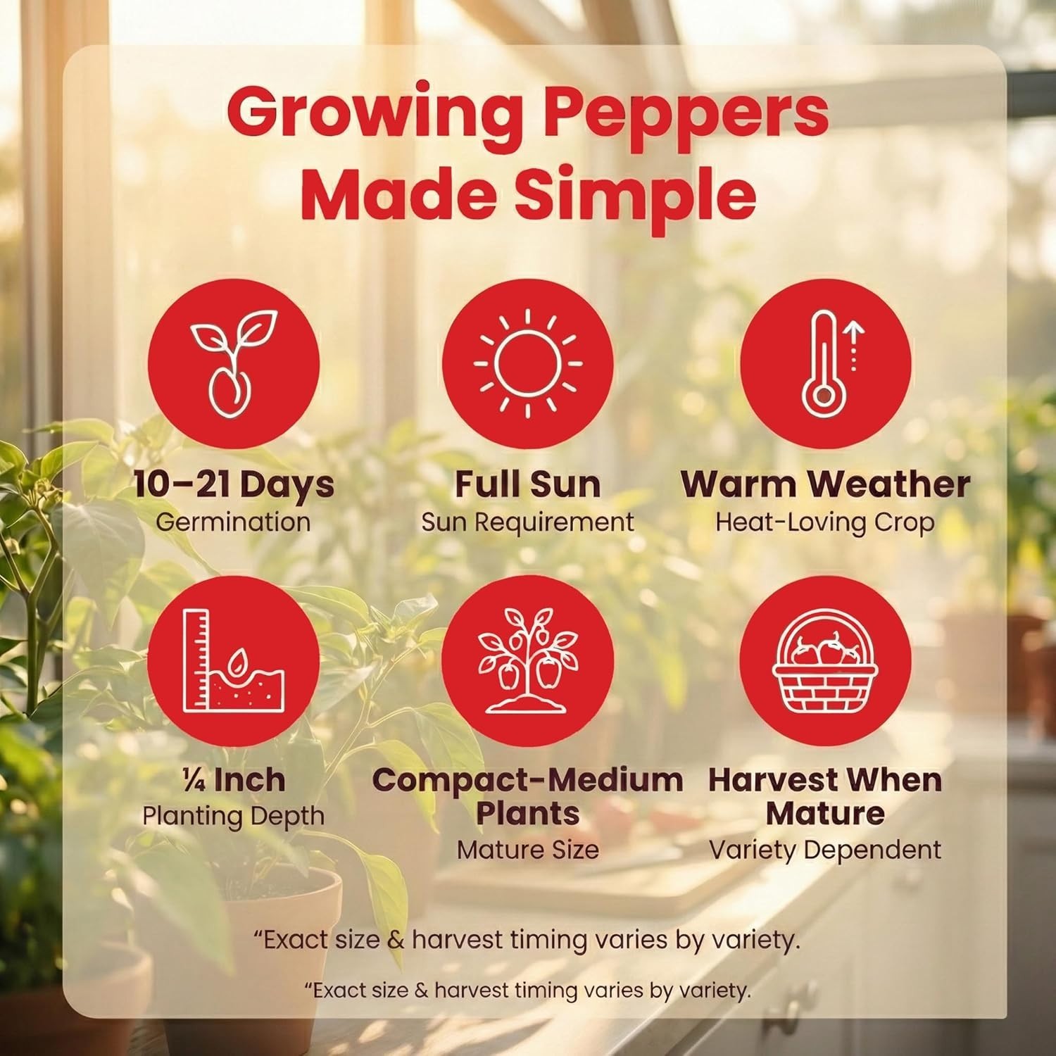 Bold Flavors Await: Heirloom Hot Pepper Seeds Variety Pack – 50 Seeds Total