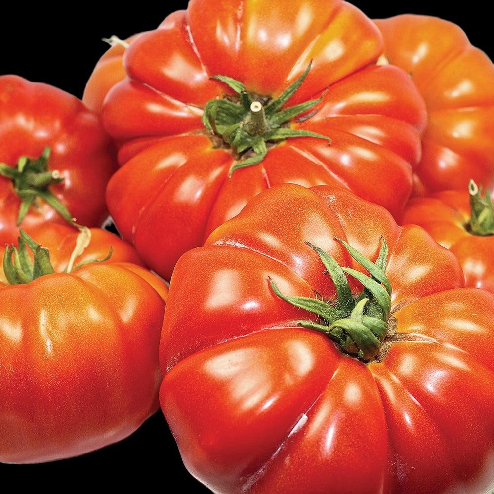 *Price Slash* Red Brandywine Tomato Organic, Heirloom. 50 Seeds. Free Shipping!
