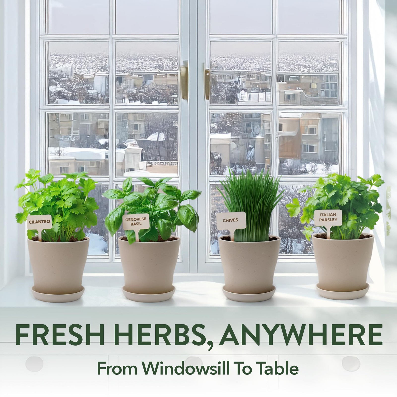 HOME GROWN Herb Garden Planter Indoor Kit – Unique Christmas Gift for Adults,
