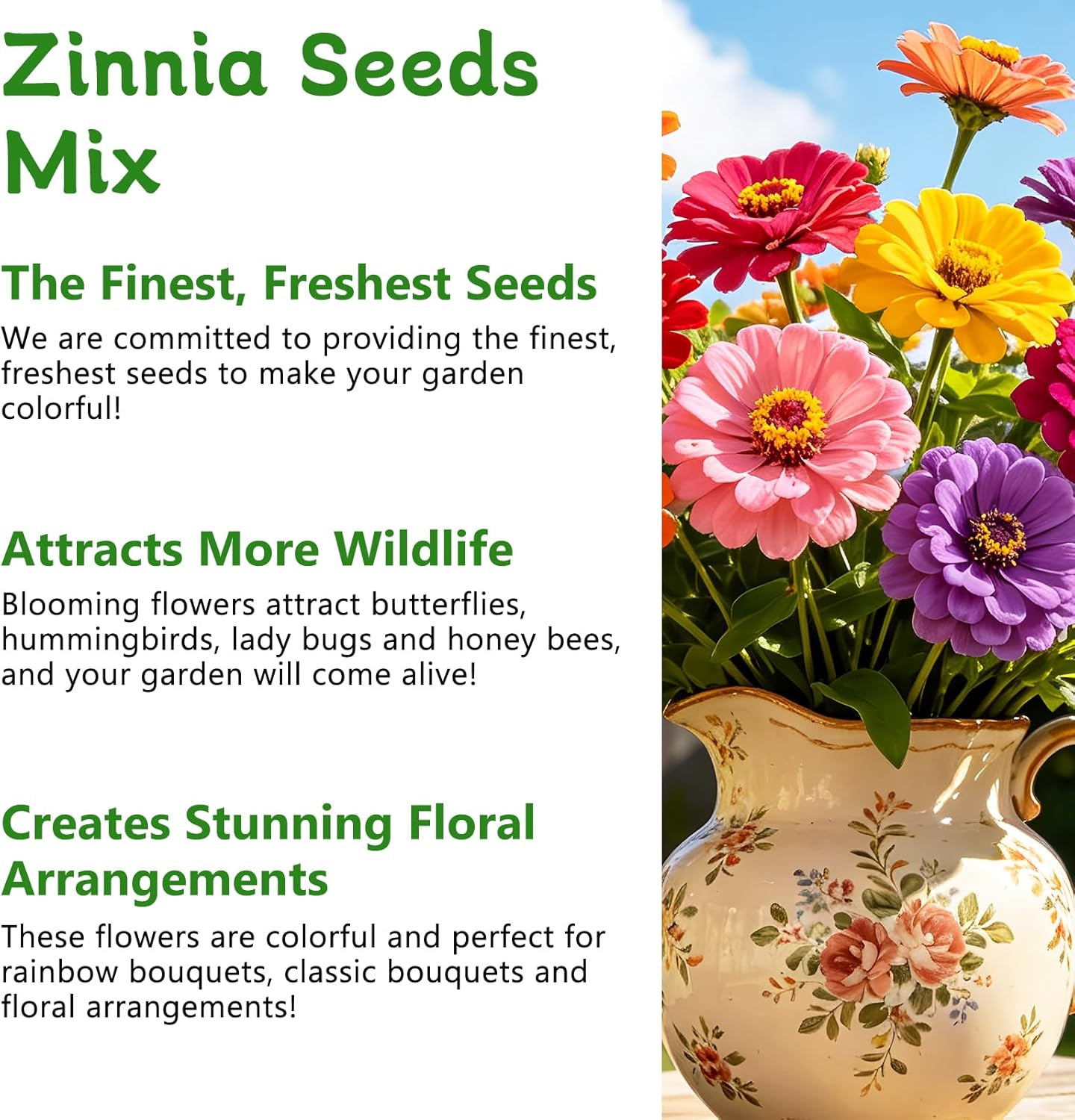Zinnia Seeds for 2026, 10,000+ California Giant Zinnia Seeds Bulk, Double Dahlia