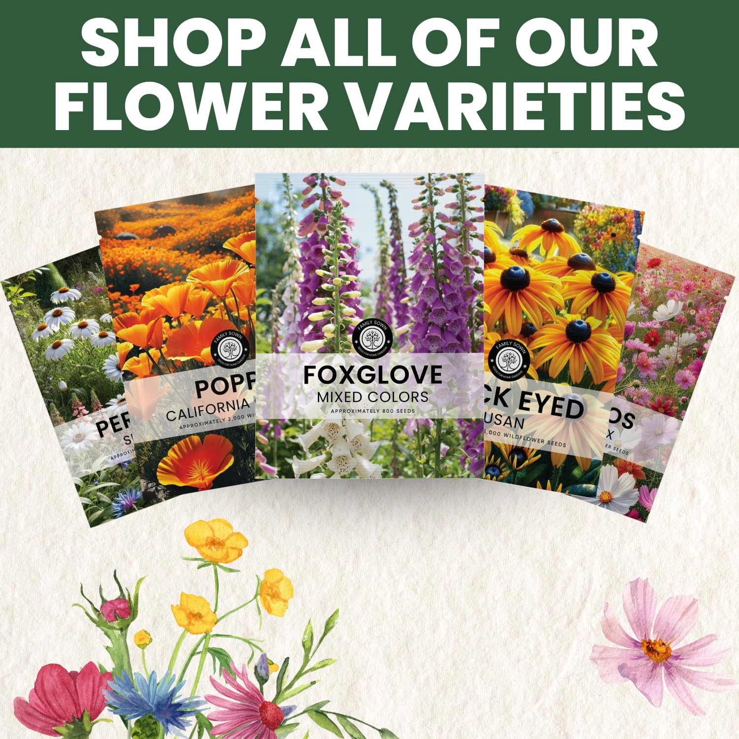 Mixed Color Foxglove Seeds – 10,000 Seeds for Planting – 2 Ounce Pouch