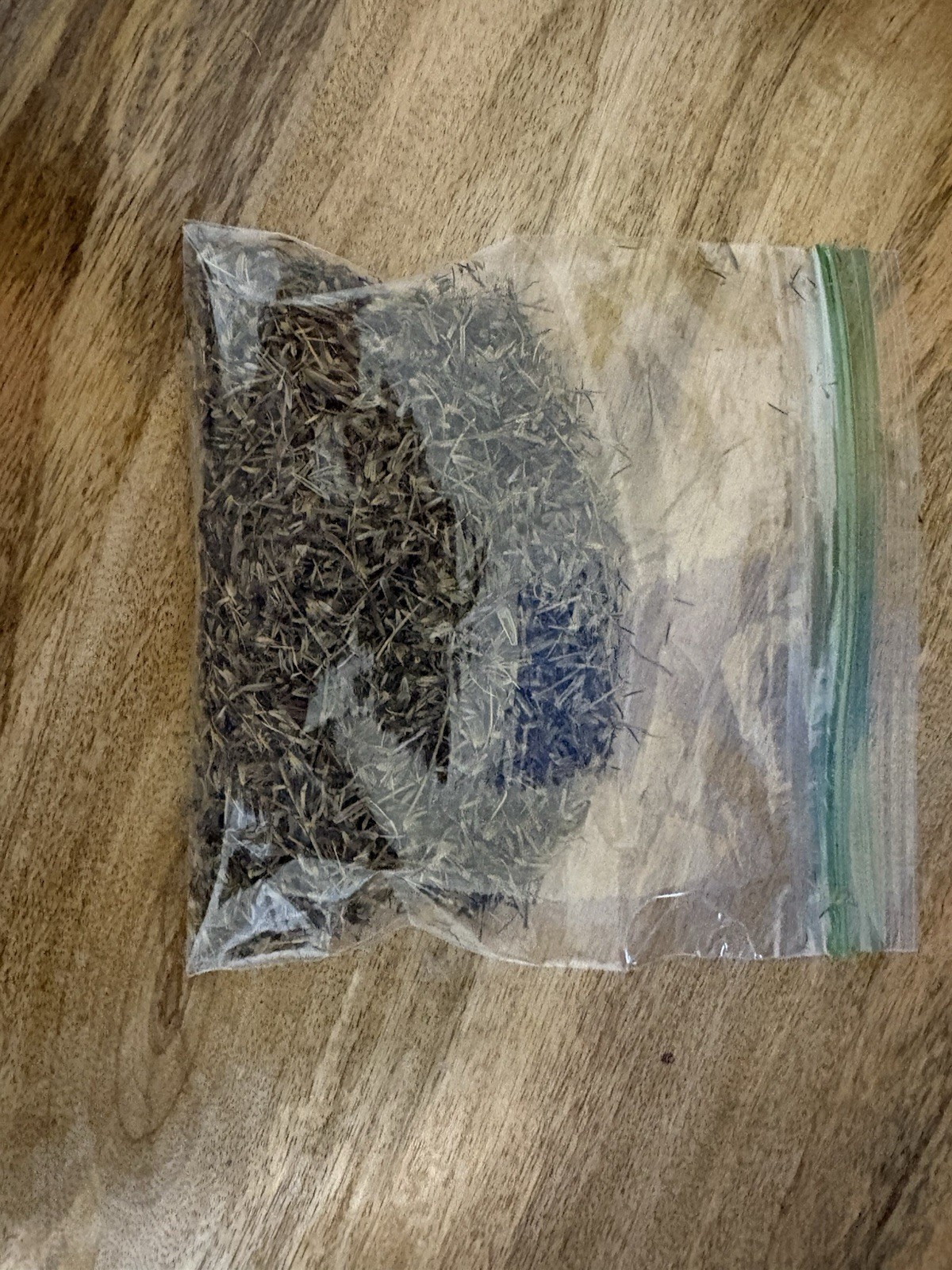 Semilla de pipicha 0.6