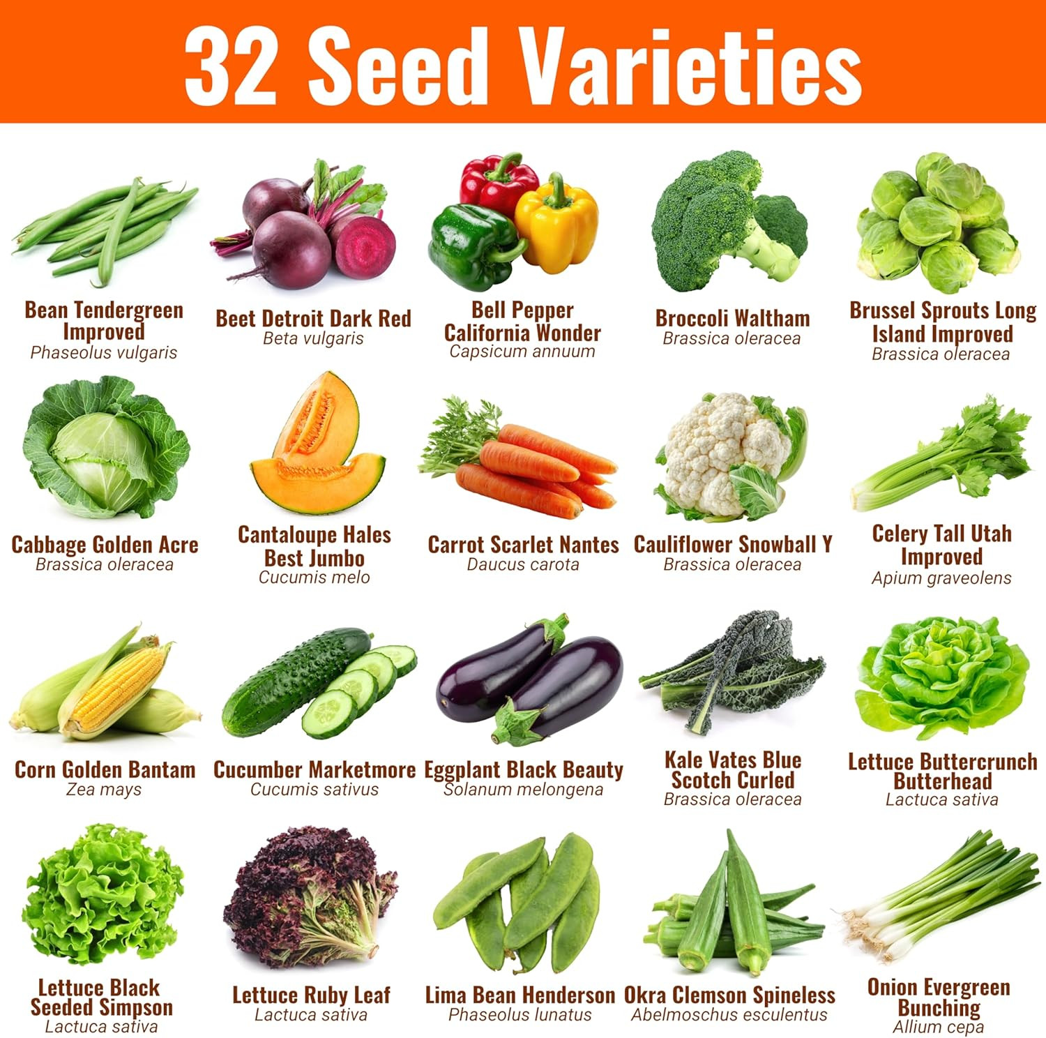 15,000 Heirloom Seeds 32 Seed Types Survival Seeds 2026 Season
